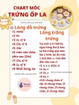 Chart trứng ốp la